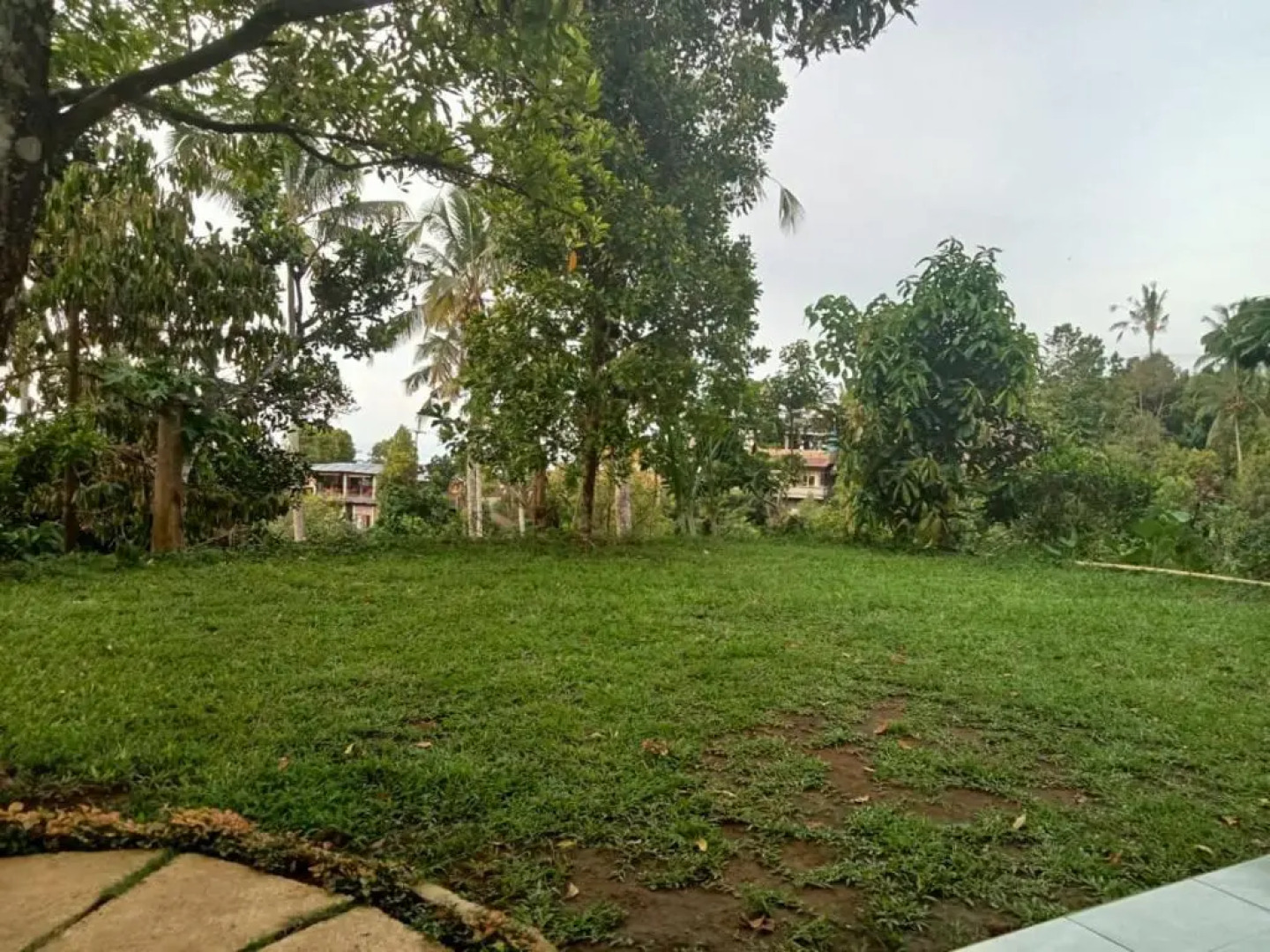 Sekumpul Local House