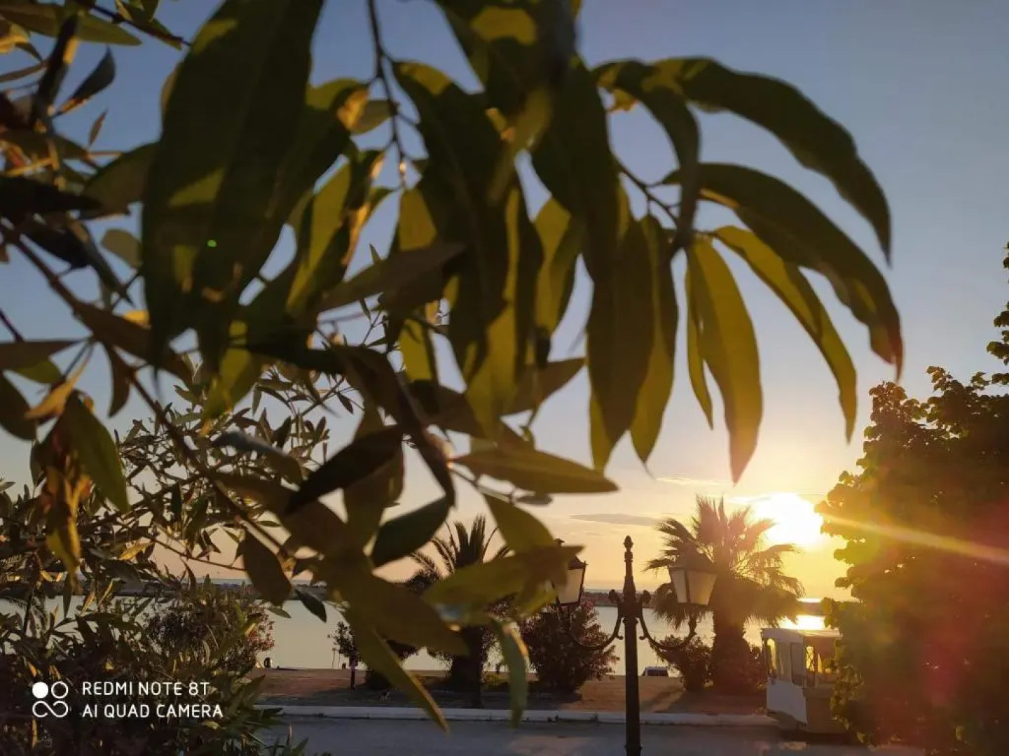 Seaside Deluxe Apartment