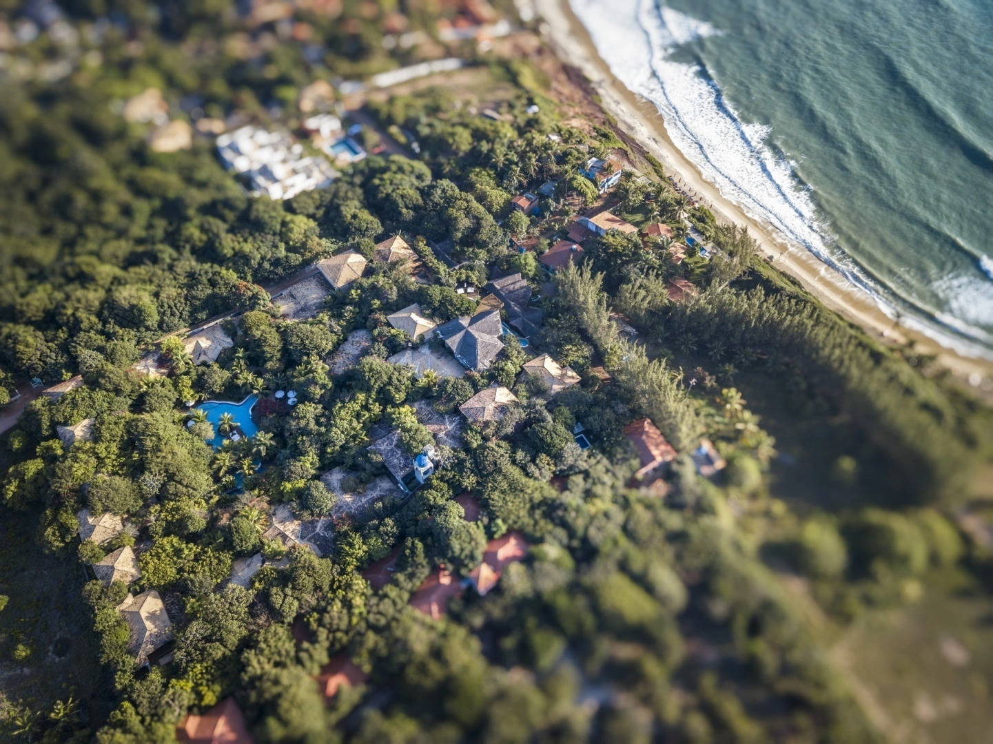 Sombra e Agua Fresca Floresta