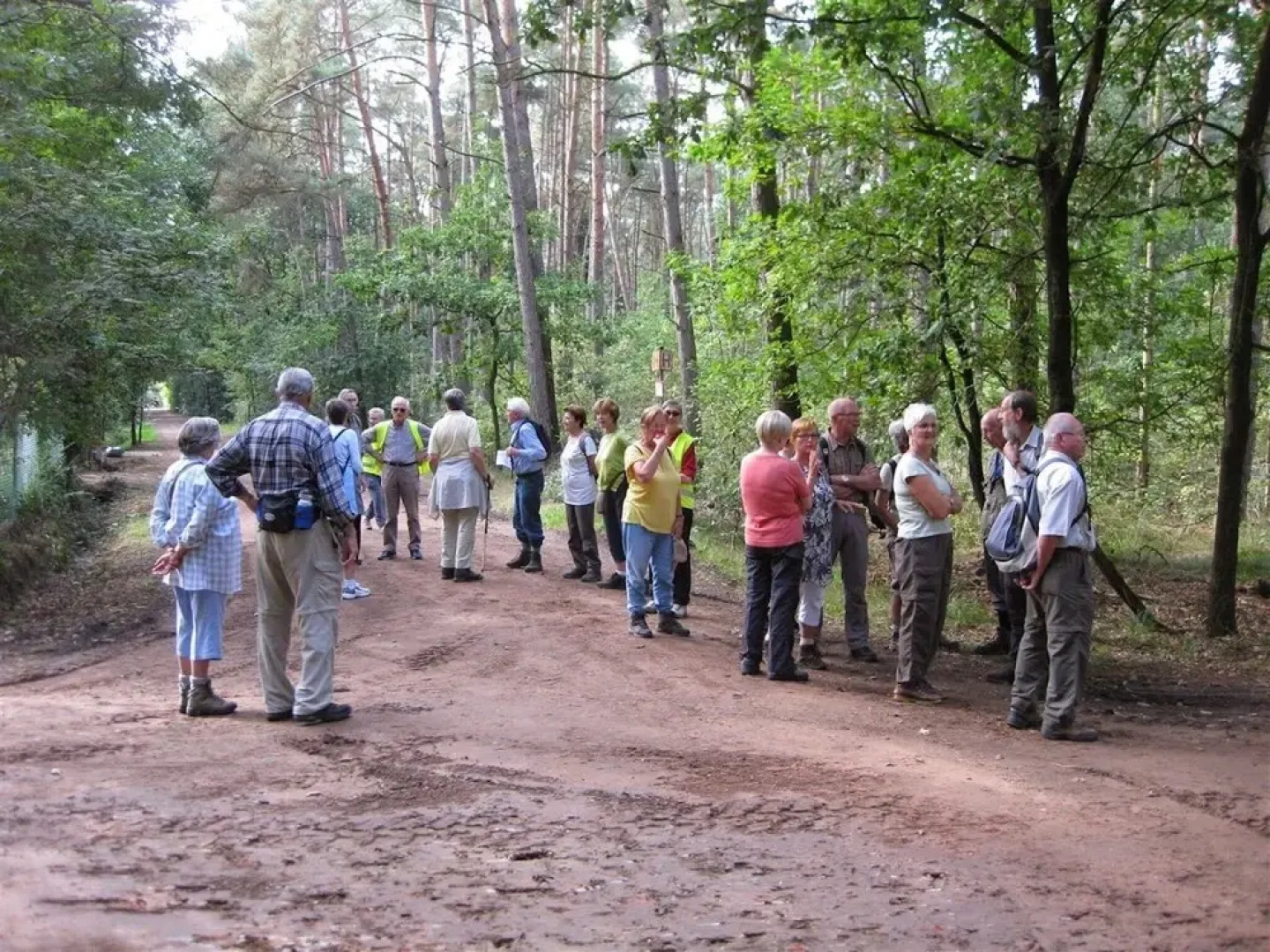 Nice Chalet With Garden, in the Antwerp Kempen