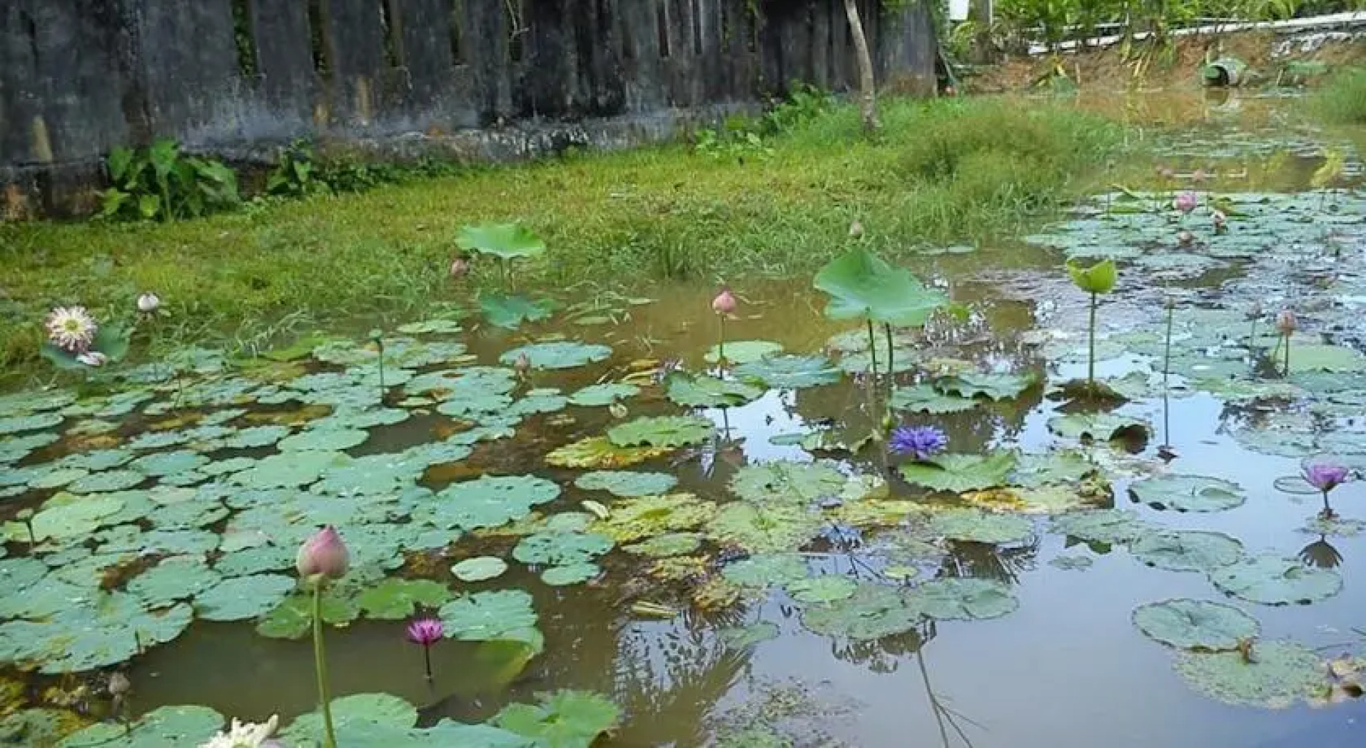 Phuphasrirung Resort