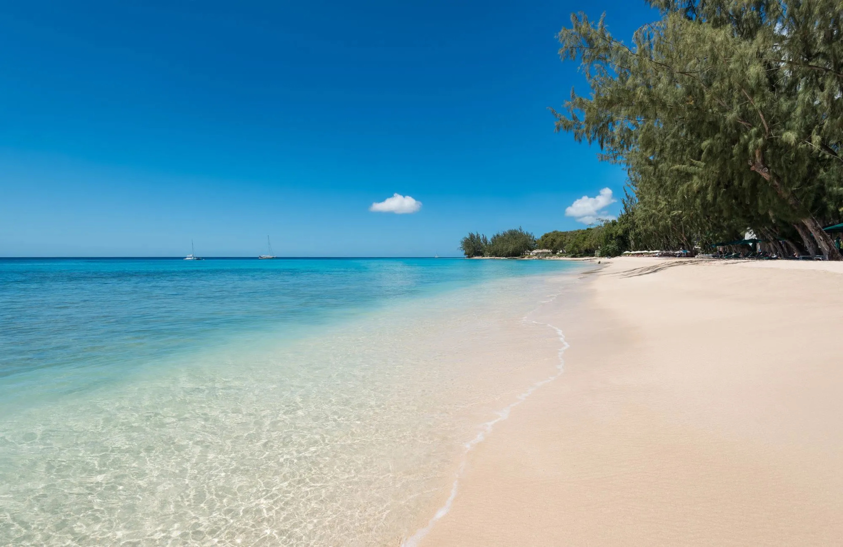 Coral Reef Club