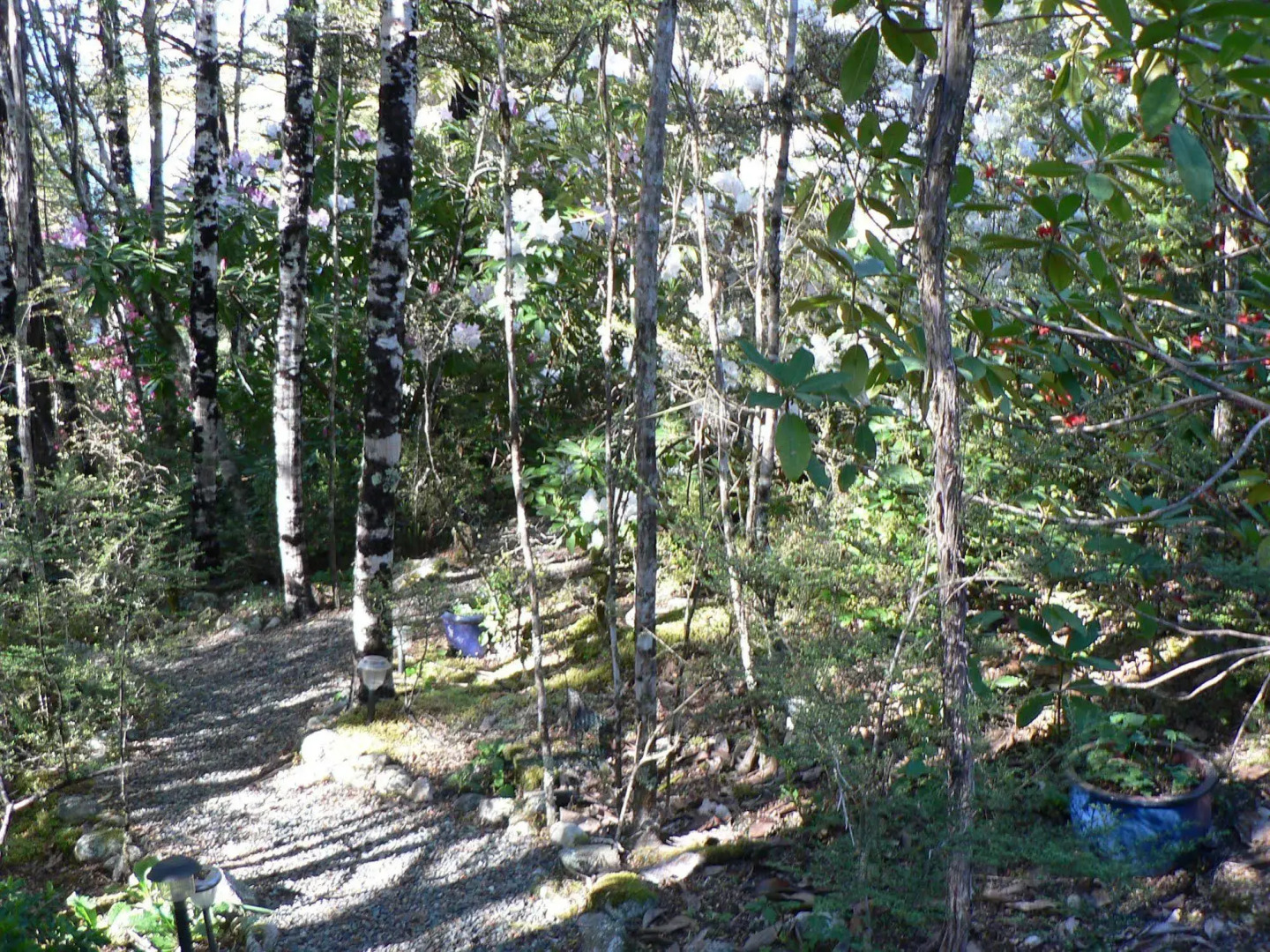 Avarest Bed & Breakfast