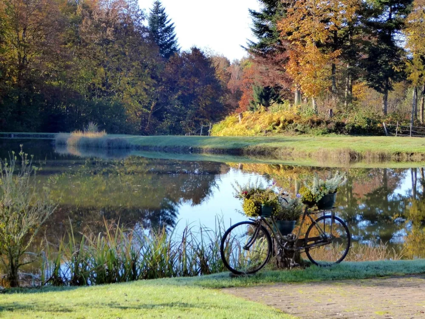 Studio in Athesans-étroitefontaine, With Pool Access, Furnished Garden