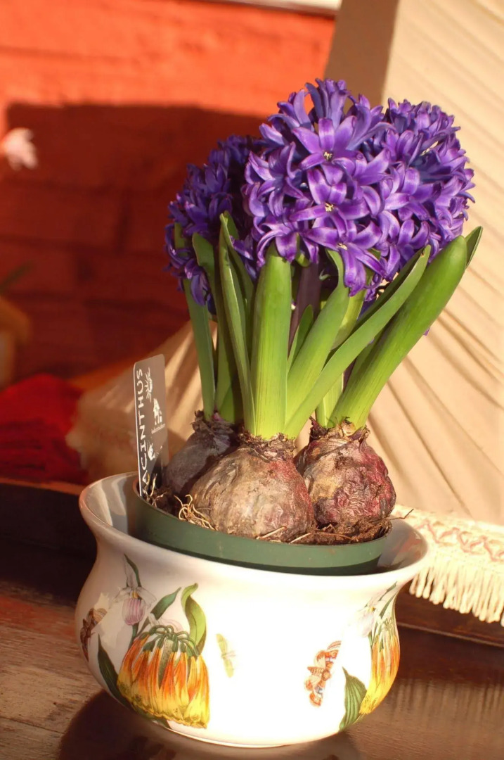 The Waterdine - Restaurant with Rooms