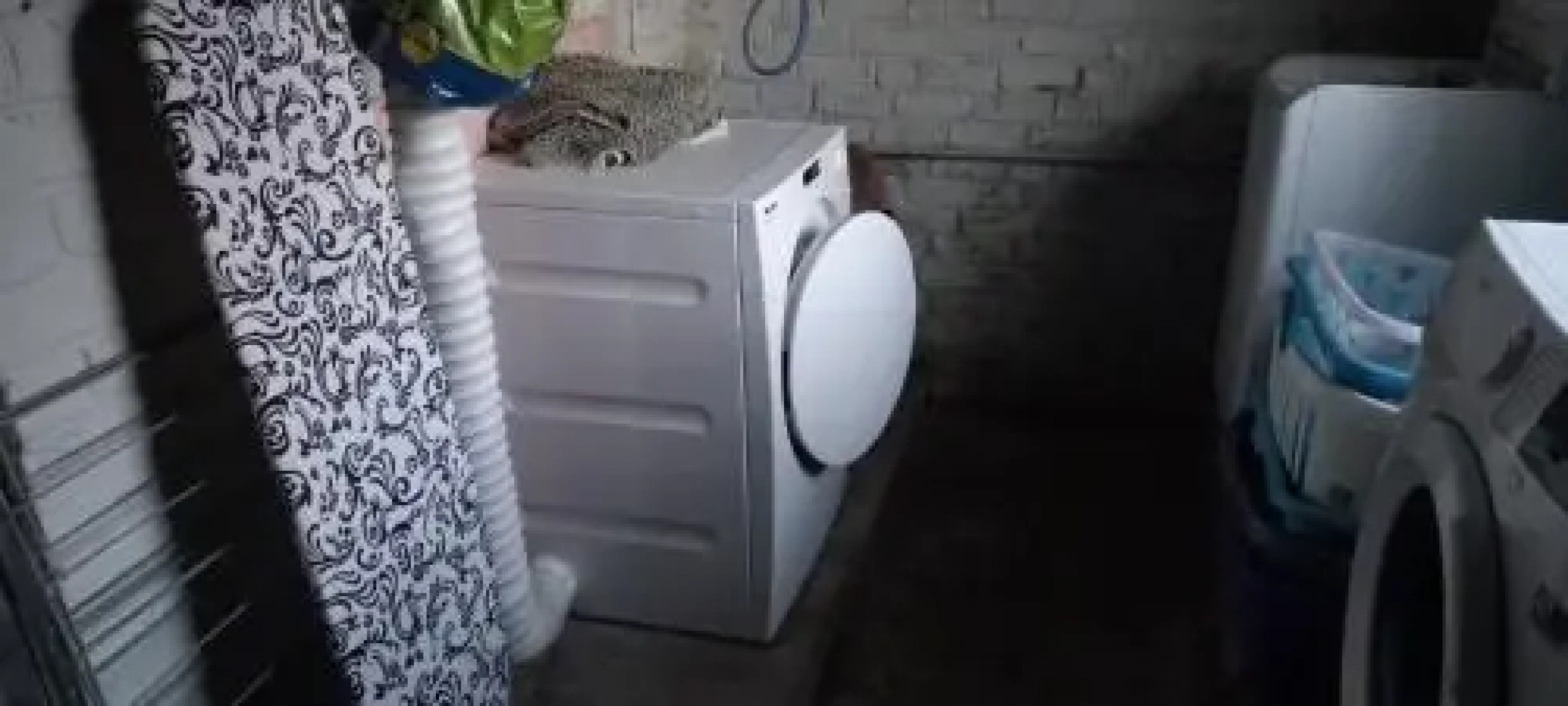 Wenceslas Cobergher Appartement