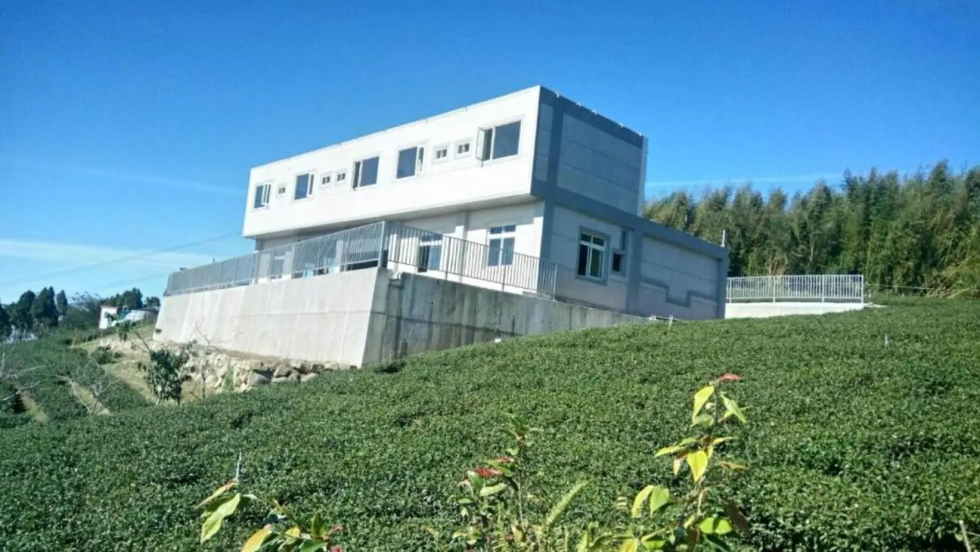 Purple dragon starry sky