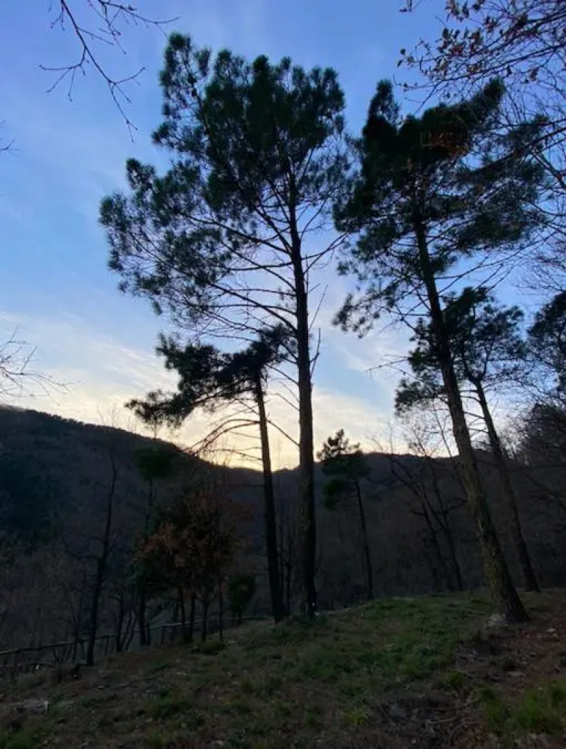 SKY HOUSE Experience