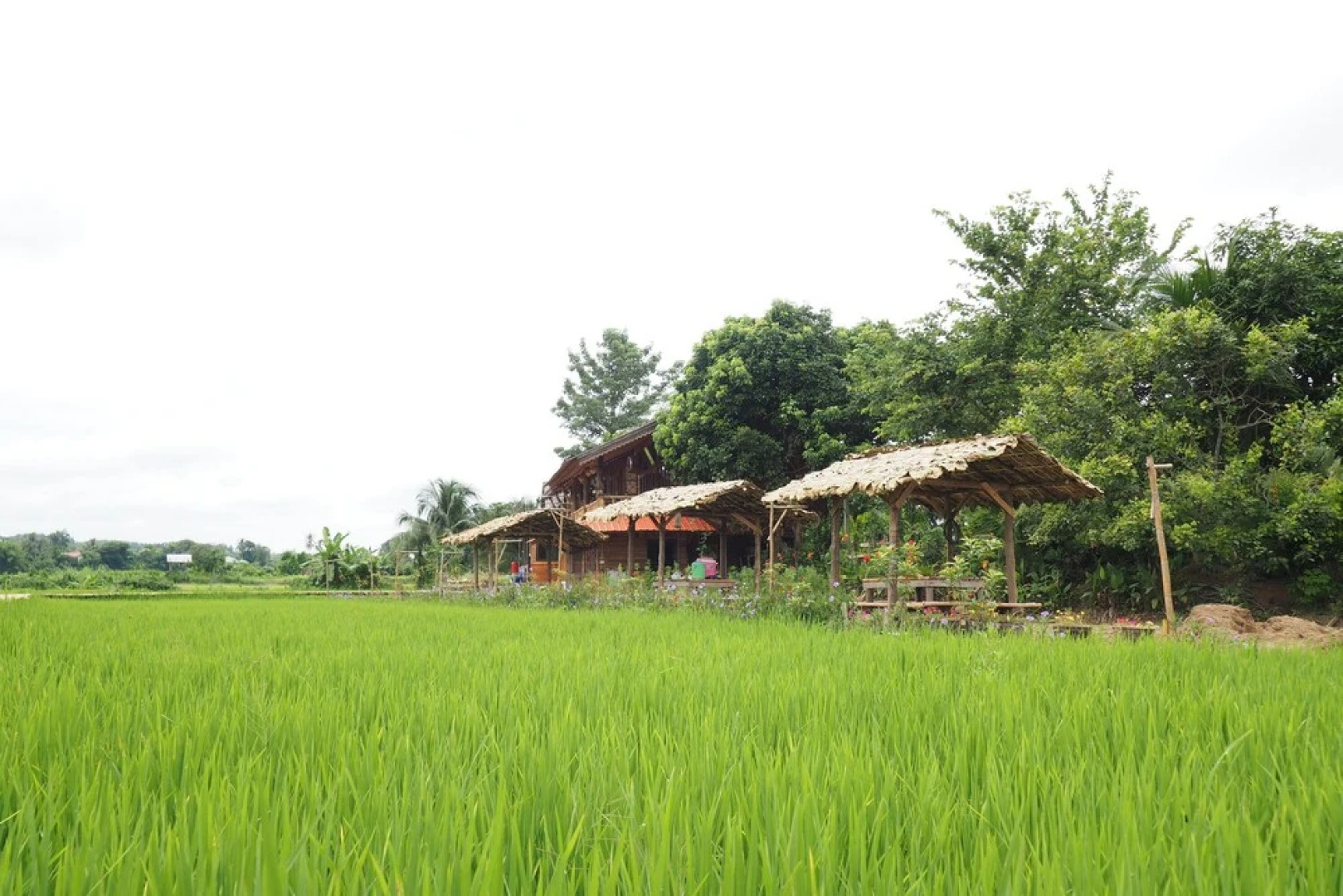 Ton Lang Homestay