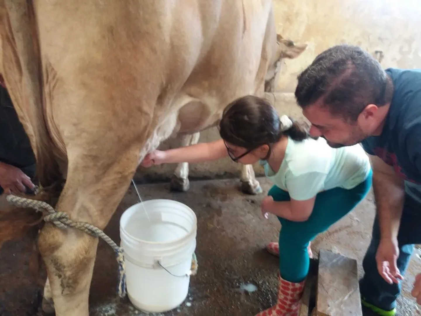 Hostal Victoria Volcan Chiriqui