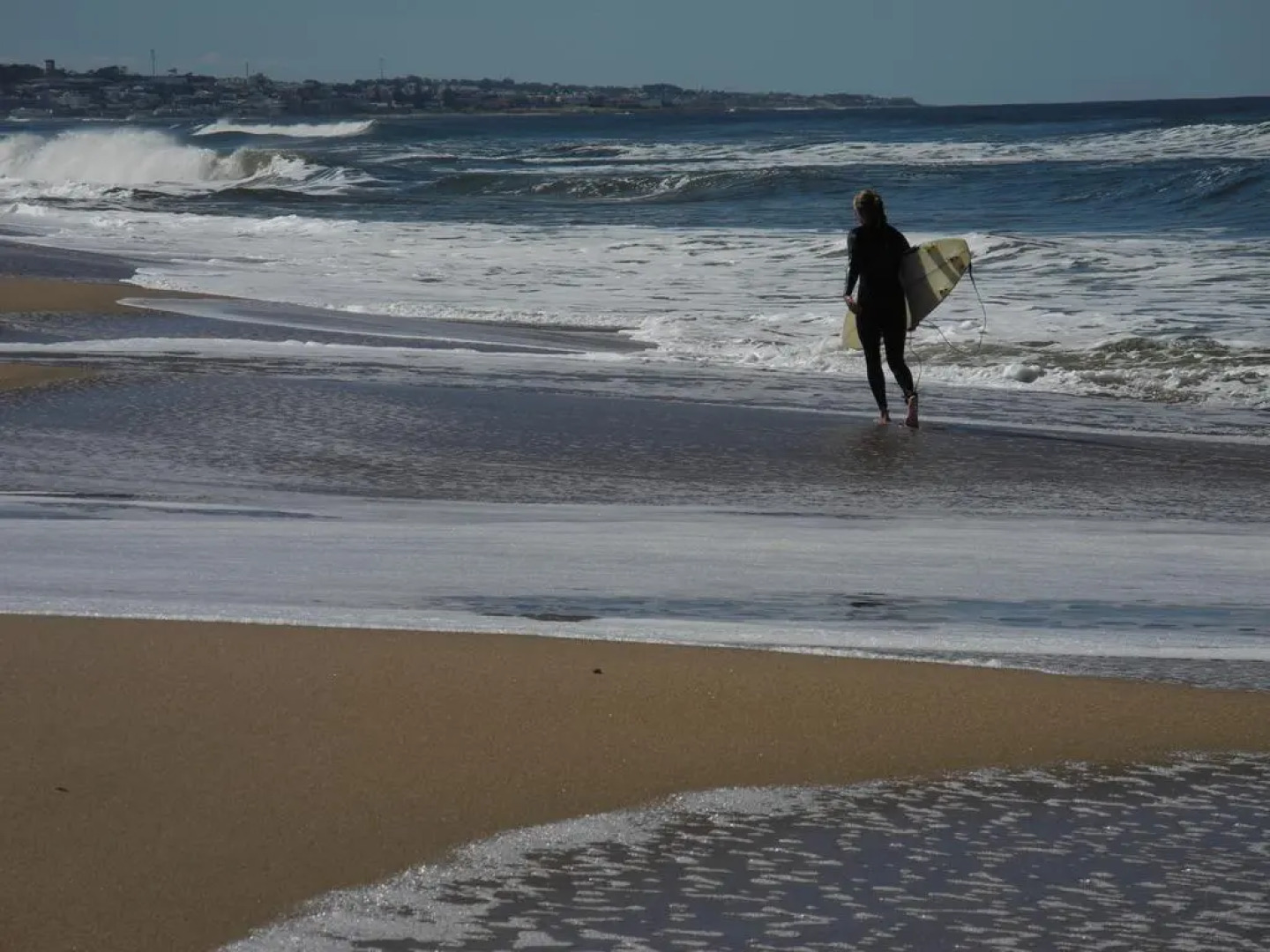 Apartment Torrelobos