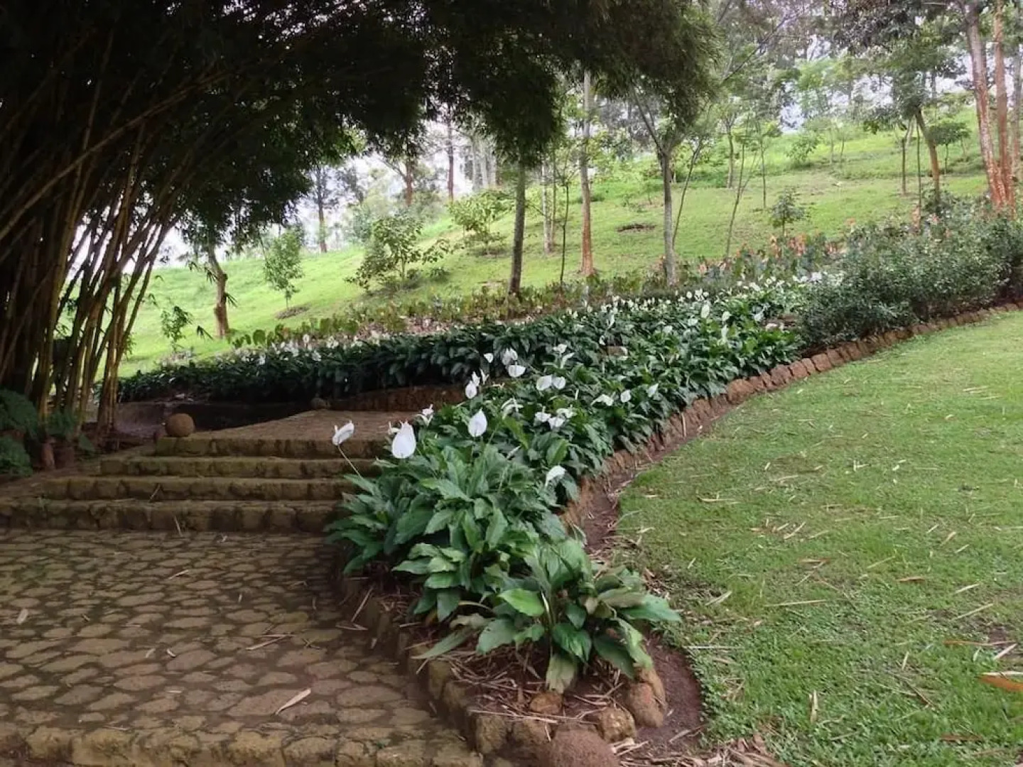 Villa Anona Guest House