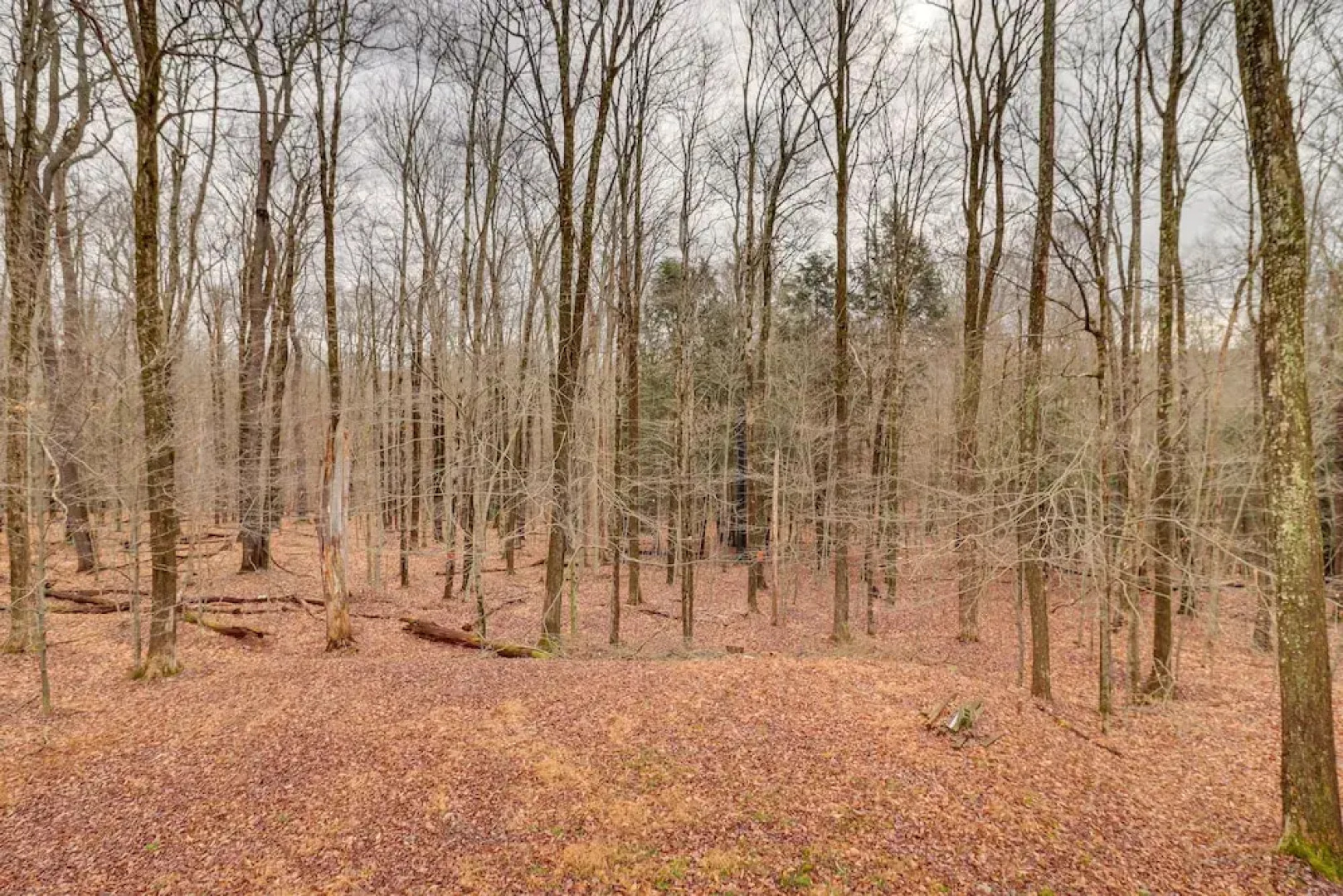 6 Mi to Jack Frost Ski Resort: Family Home w/ Deck