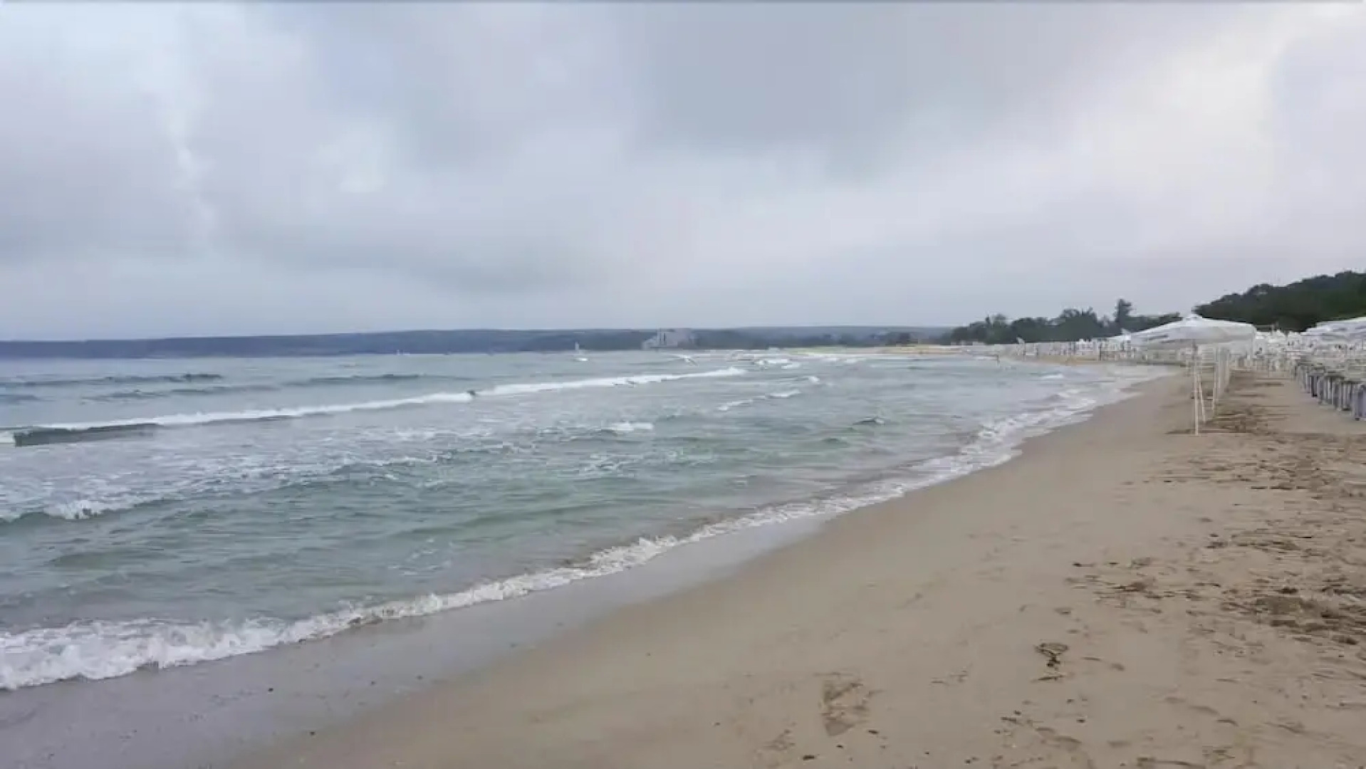 Perla Gold & Perla Luxury