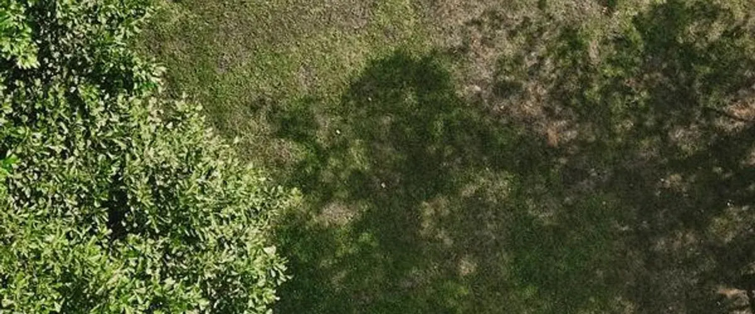 Sapanca Bamboolow Resort