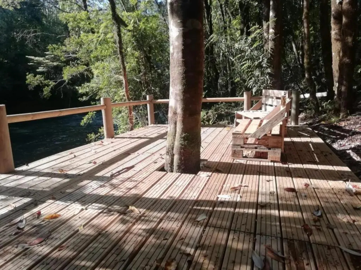 Entre Esteros Hornopiren