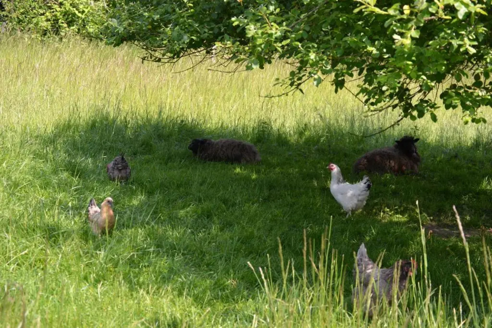 Les Chambres de Souverain Moulin