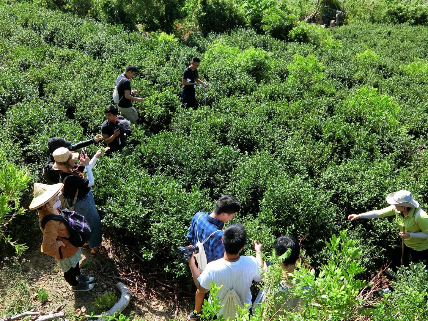 DreamButterfly Pet & Nature Hostel