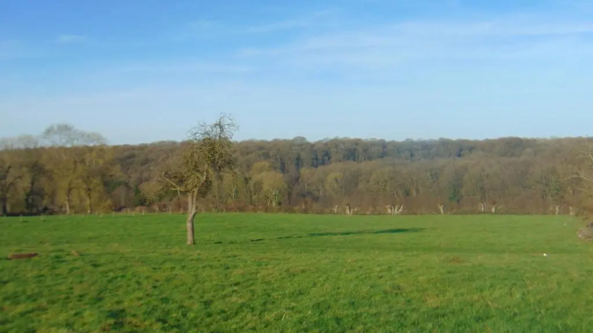 Gite Avesnois - 4910 -