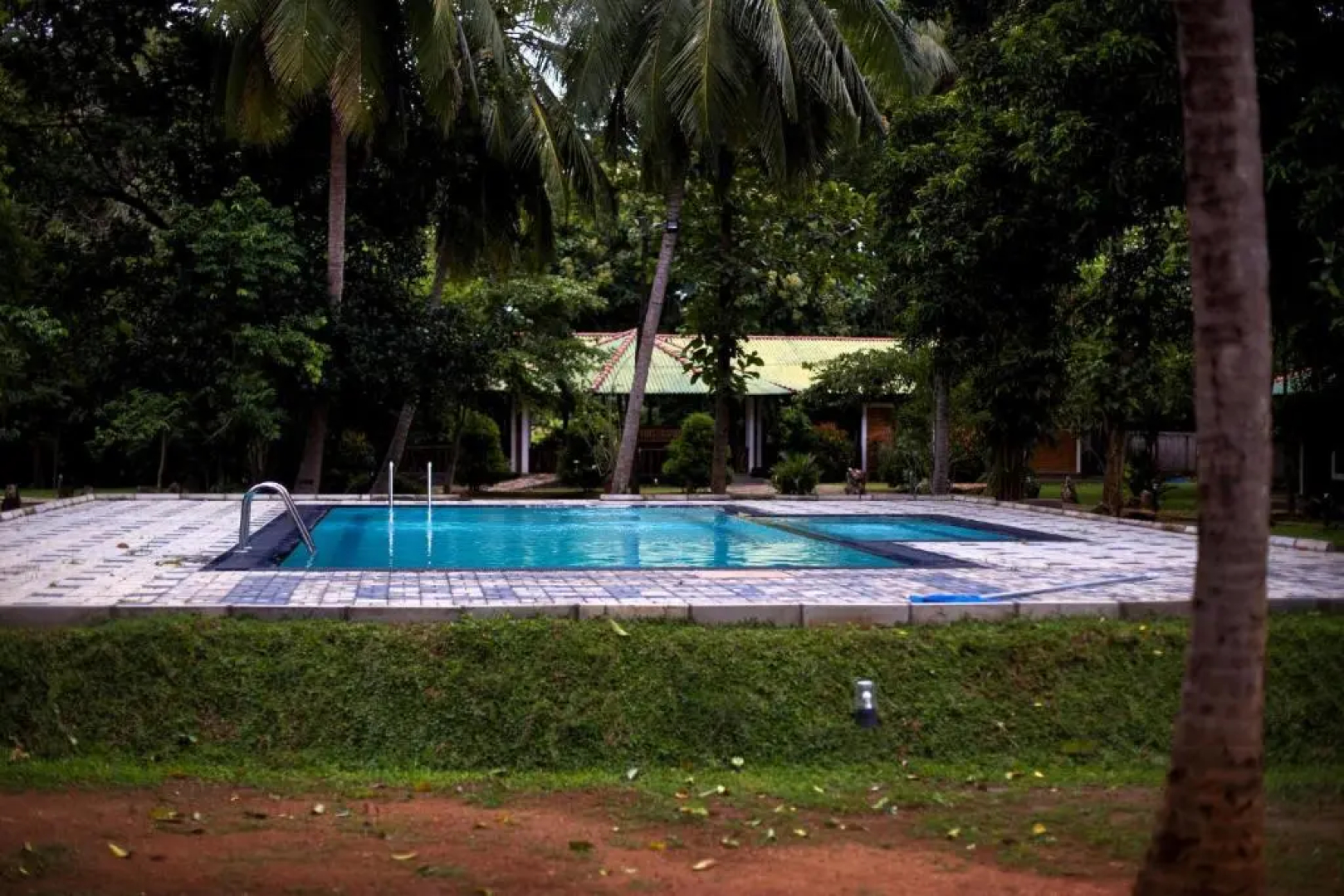 mastodon valley safari resort