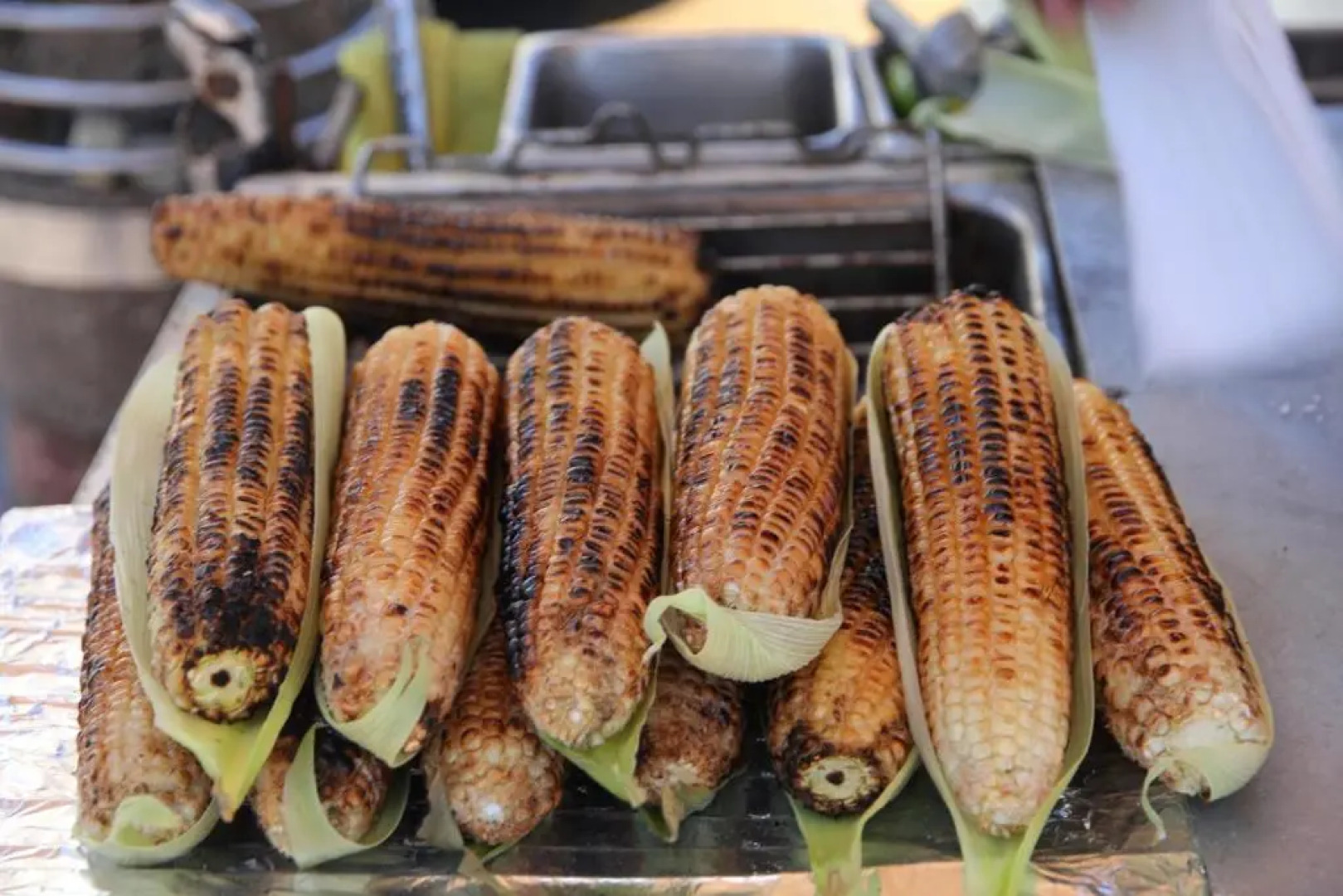 True BEACHFRONT cozy - 1 Bedroom Apt