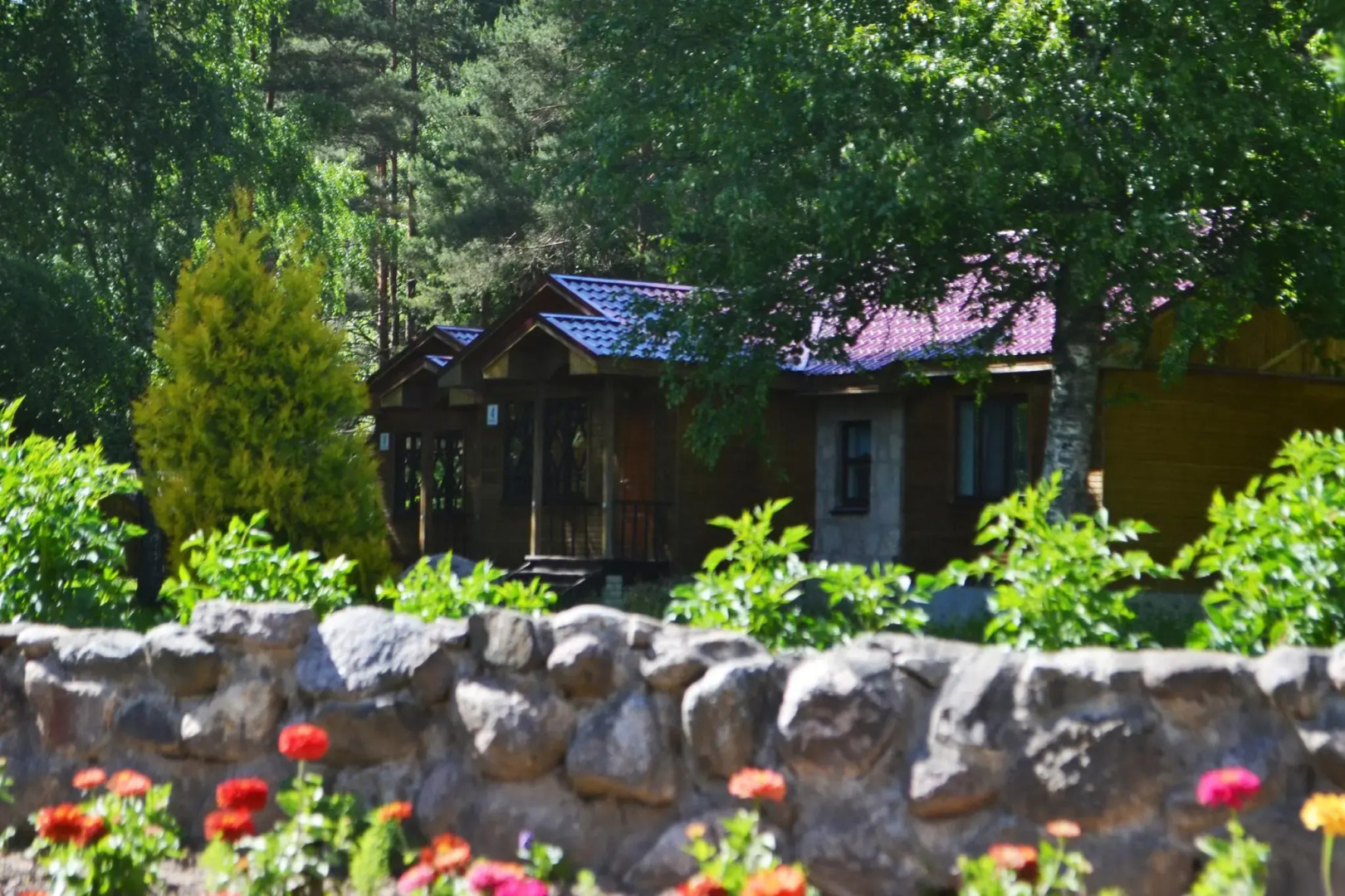 База отдыха Пушкиногорье