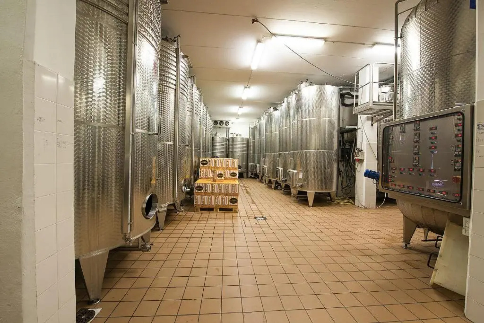 Azienda Agricola Campion