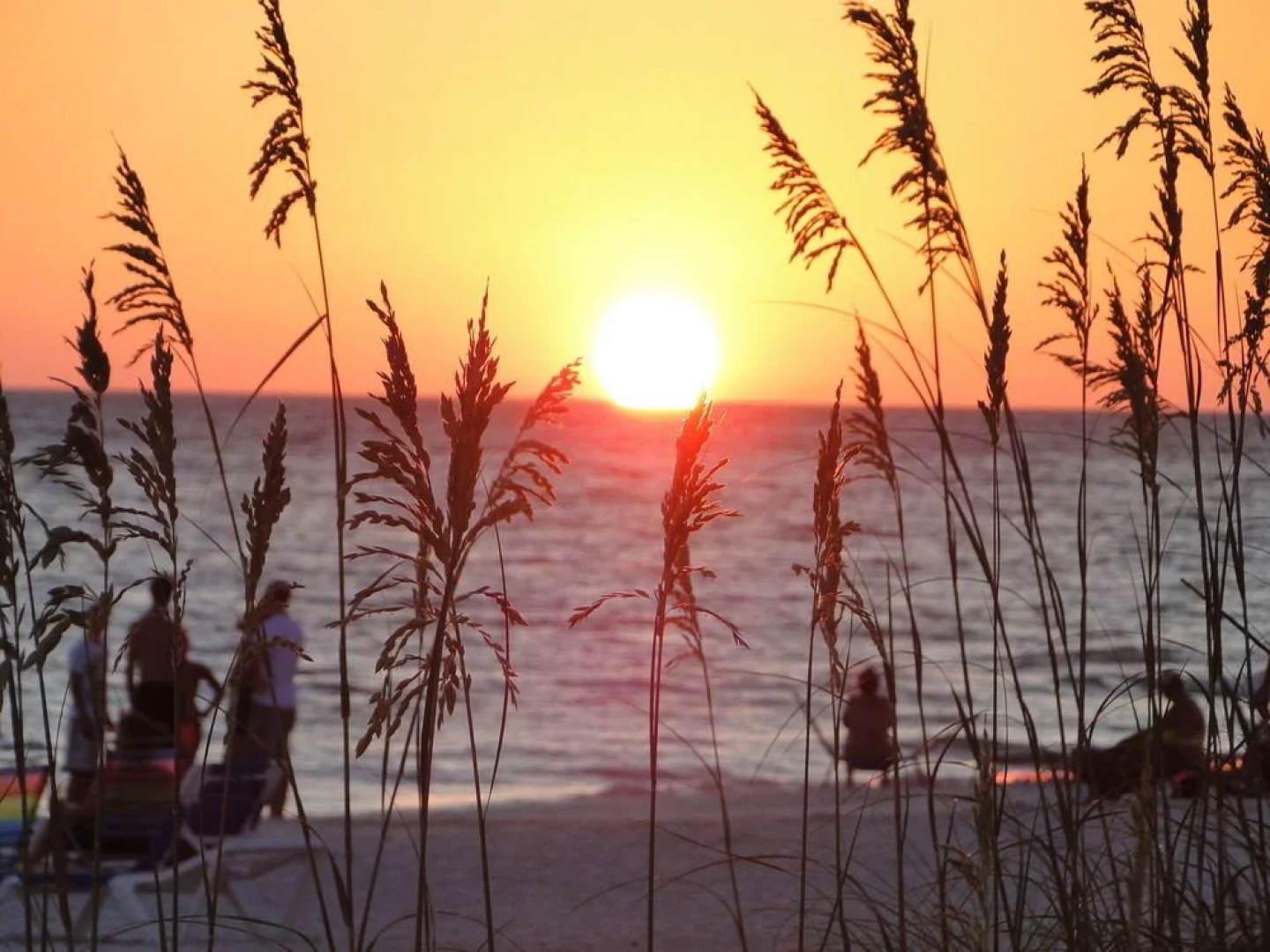 White Sands Beach Resort
