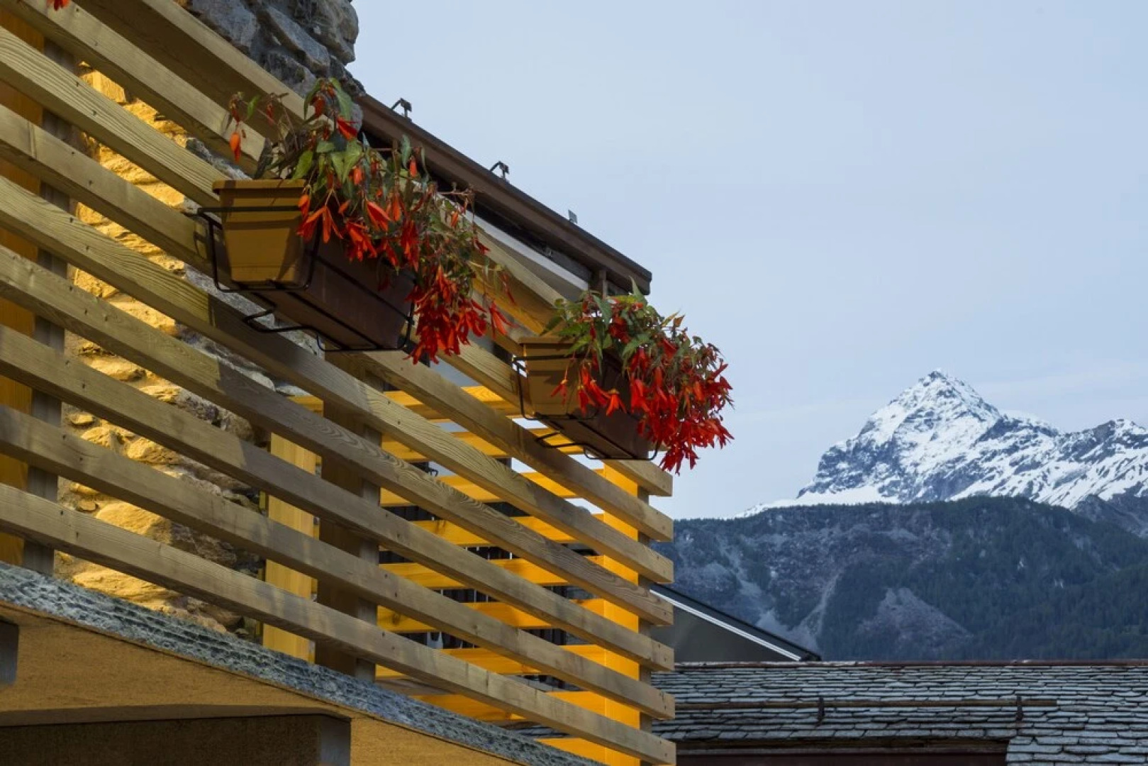 B&B Terre Aromatiche