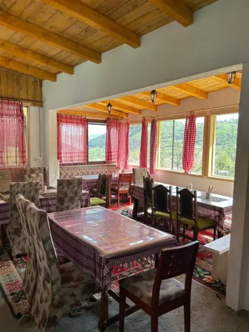 NINO Natural wood house 1