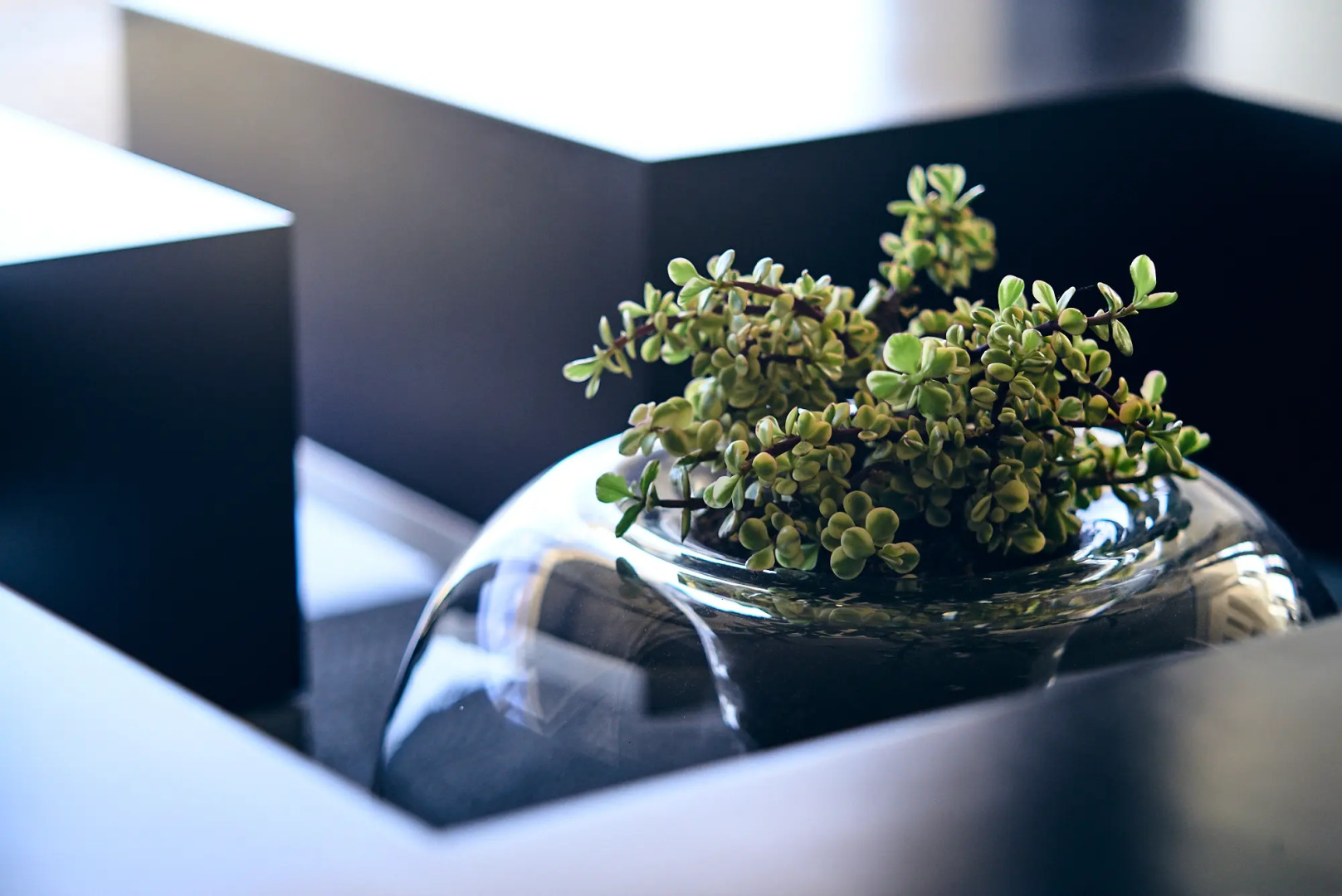 Отель Praia Marina by RIDAN Hotels