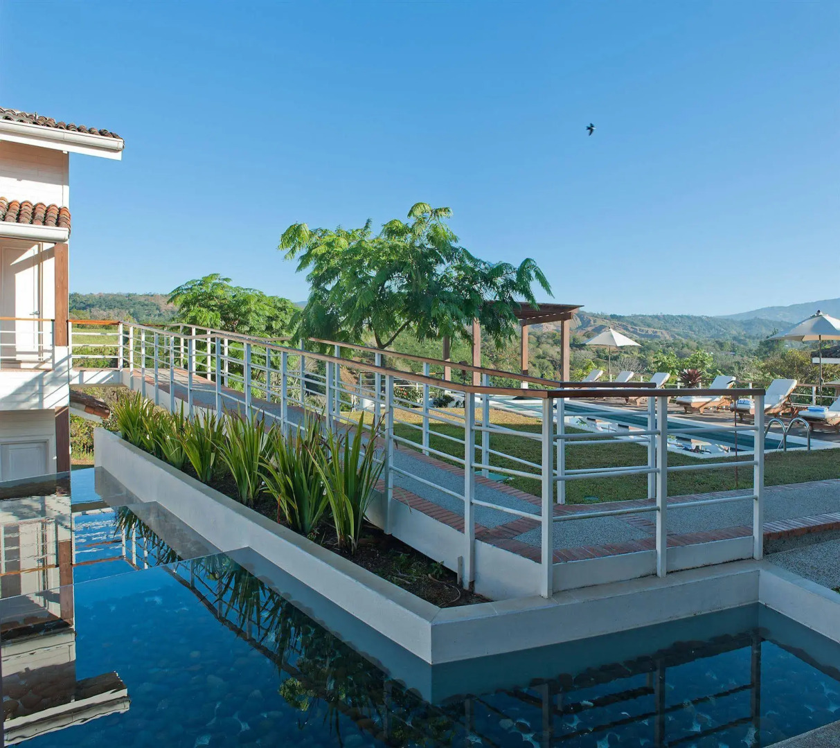 Asclepios Wellness & Healing Retreat