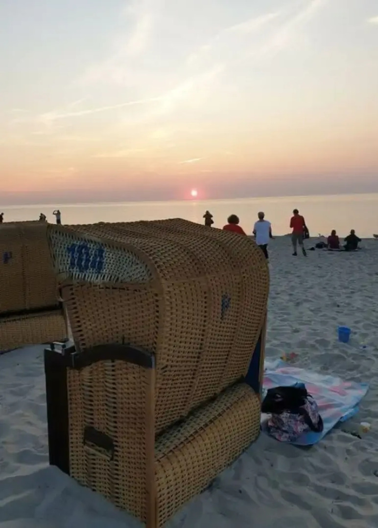 Herring Gull Modern Retreat