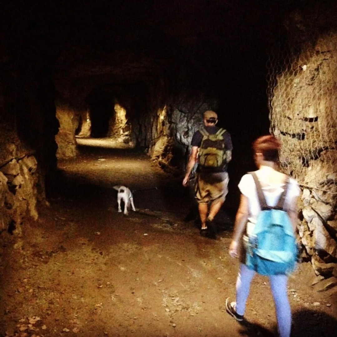 B&B La Locanda del Cinghiale