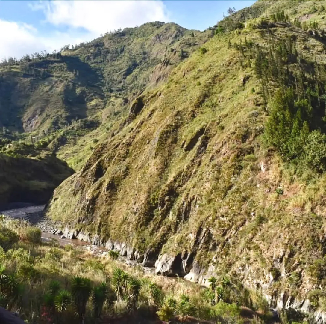 Aldea Real Eco Friendly