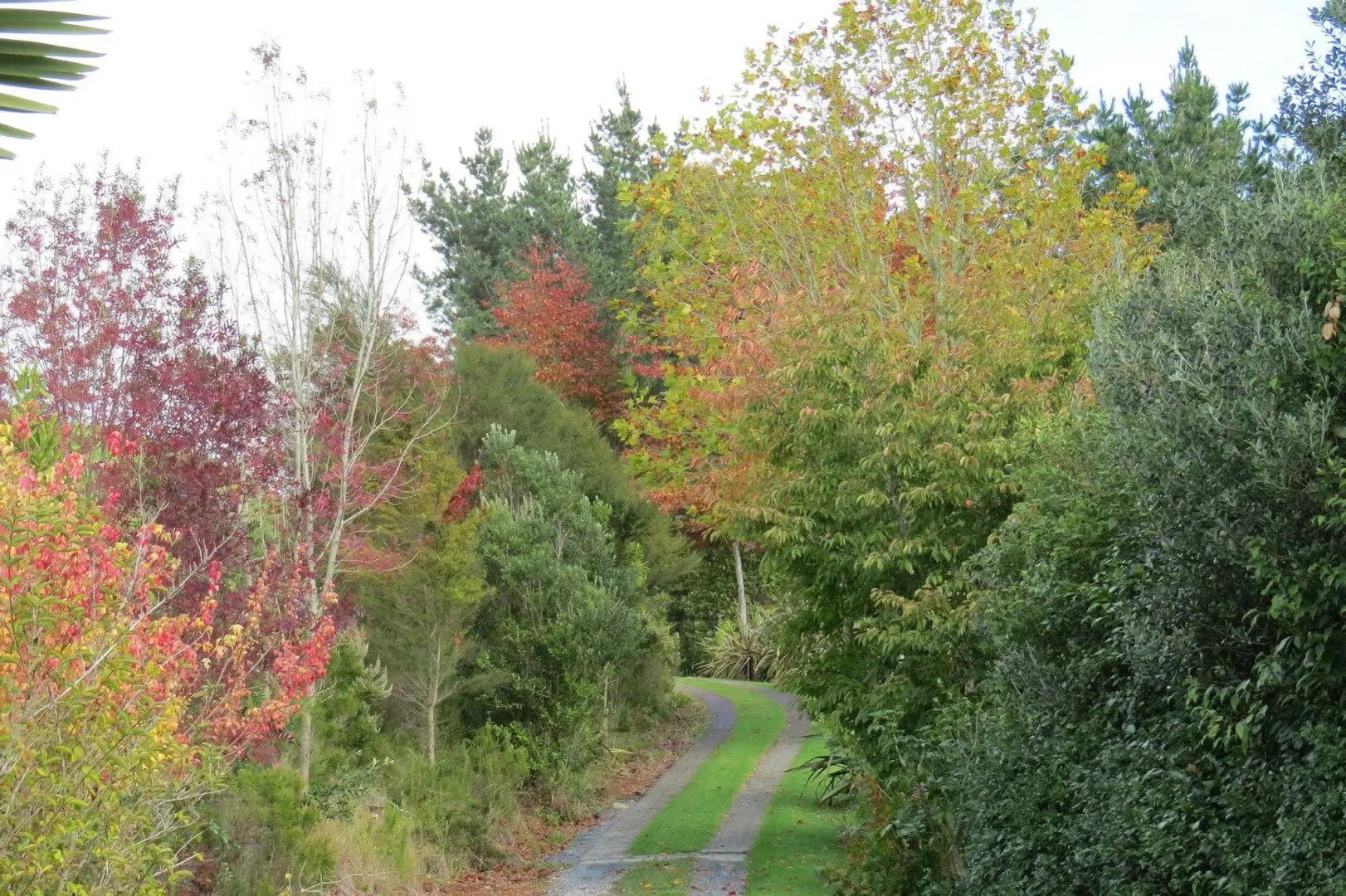 Westwind Homestay B & B