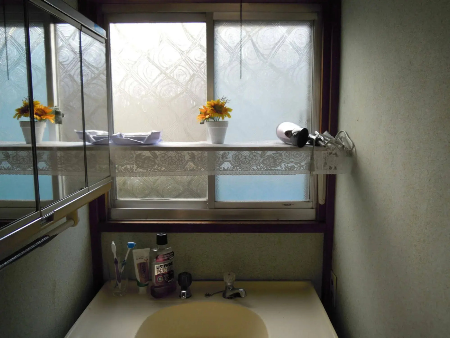 SLE Japan Ichikawa House