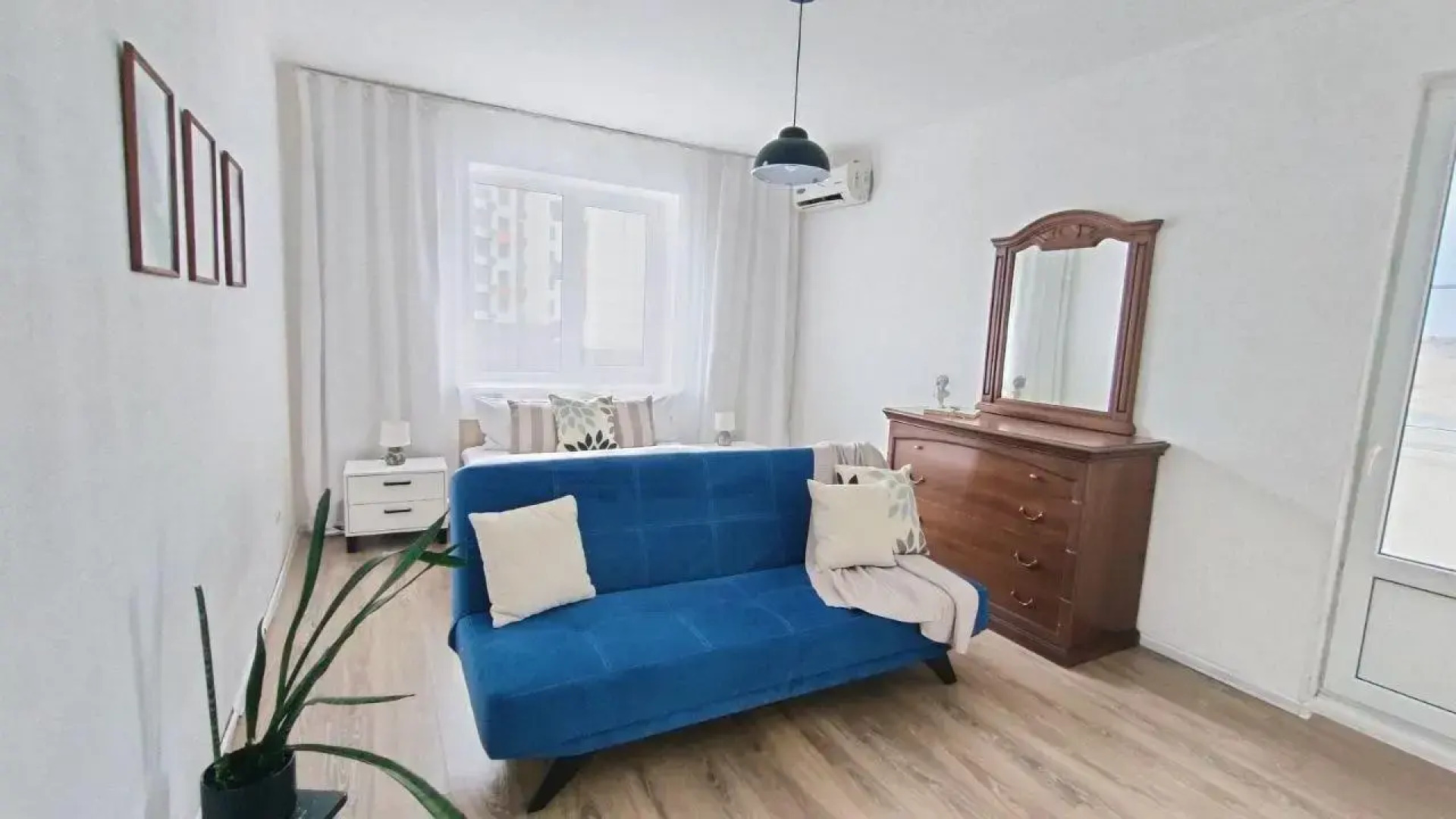 Солнечный эвкалипт на улице Крылова