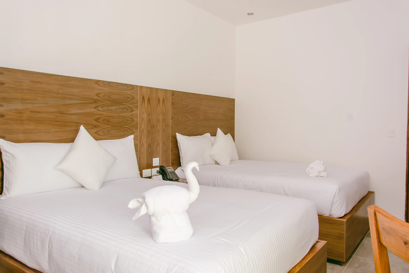 We Hotel Puerto Morelos