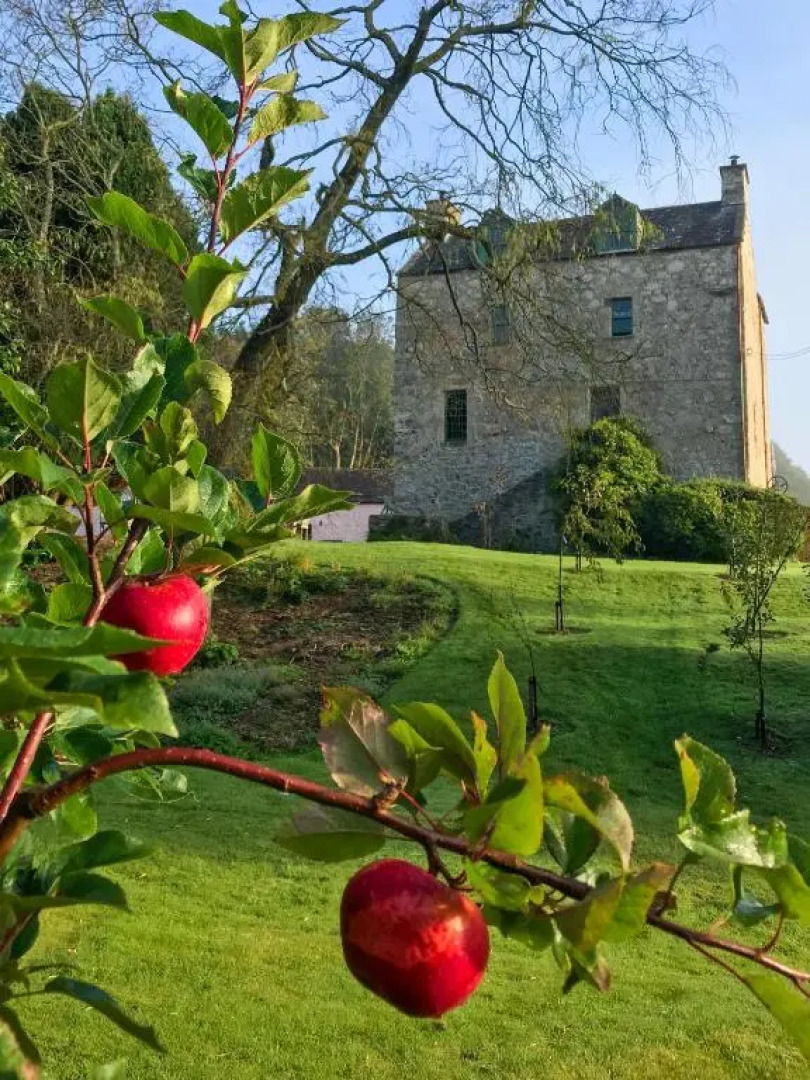 The Lady Maxwell Room at Buittle Castle