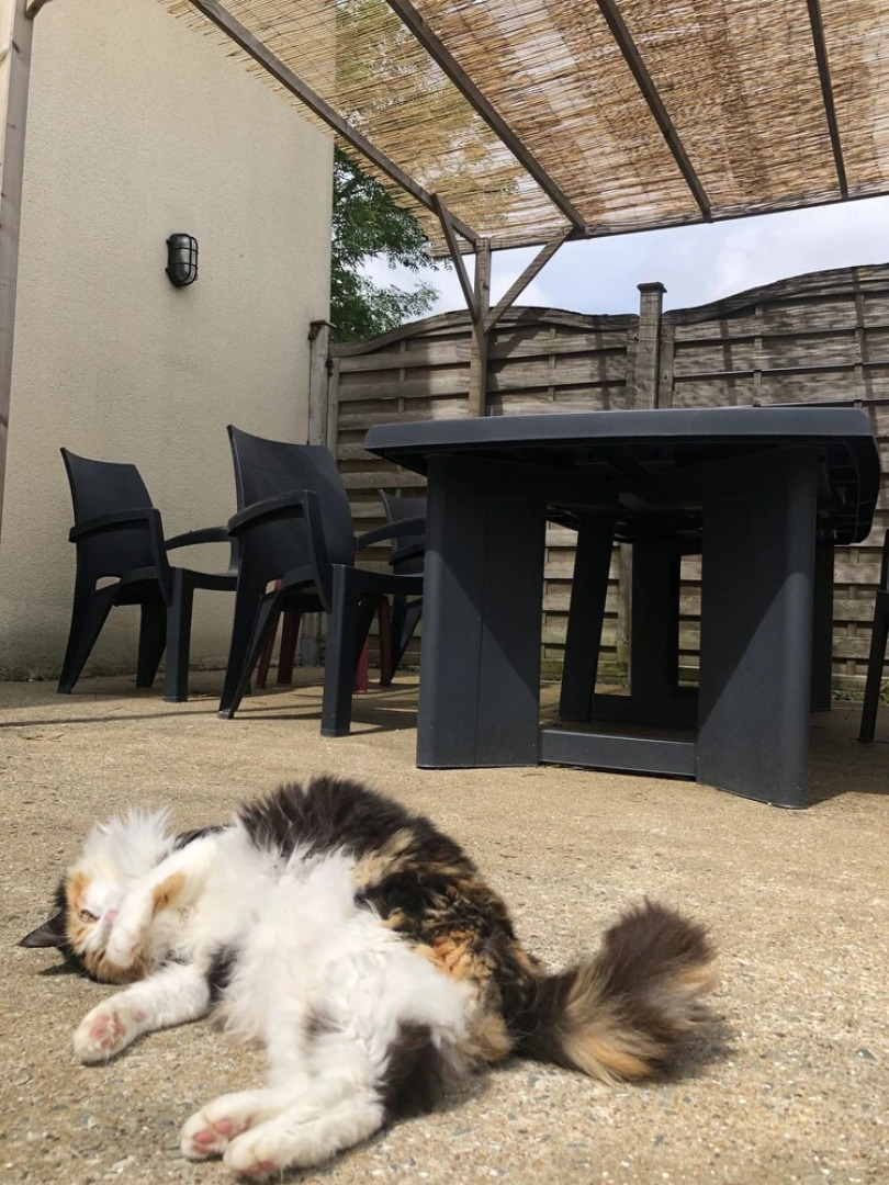 Chambre d´hôtes La Jonchère