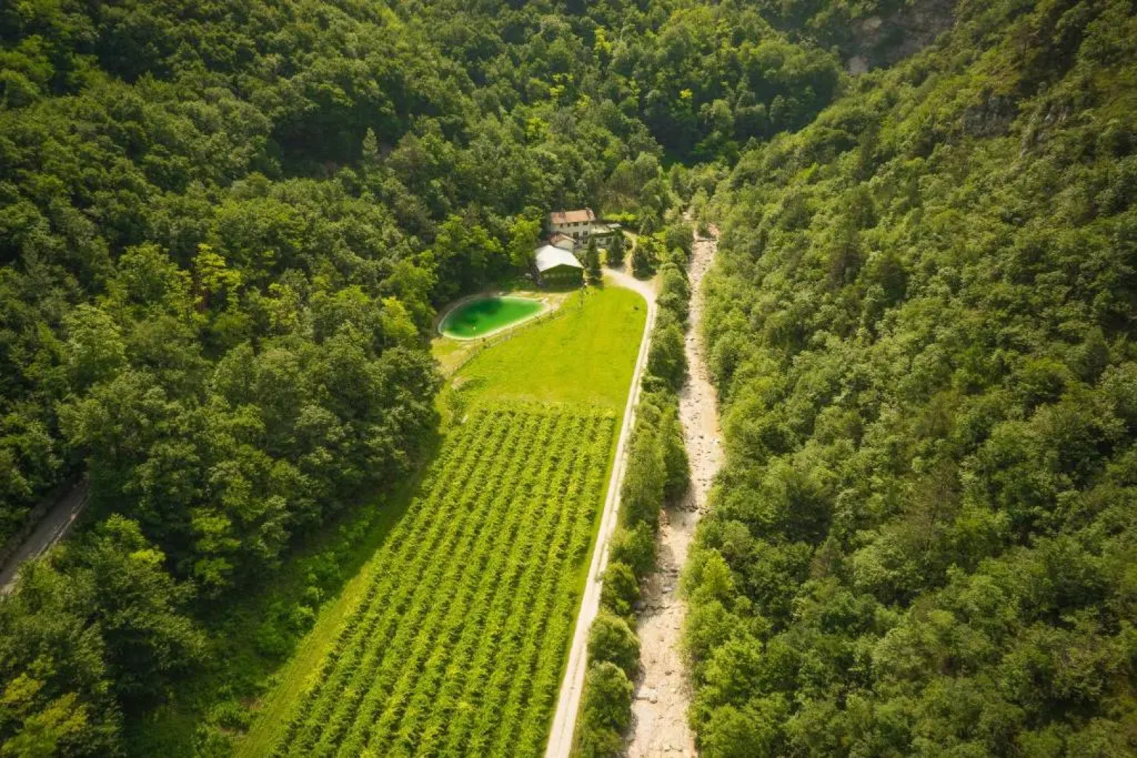 Agriturismo Maso Rocca