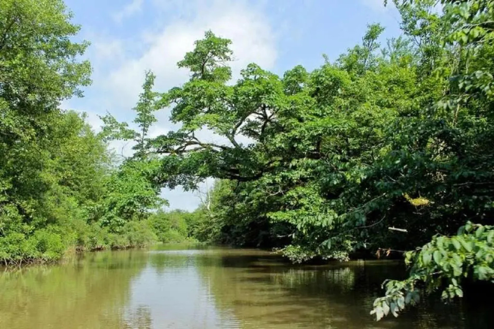 Geo Palace Kolkheti National Park