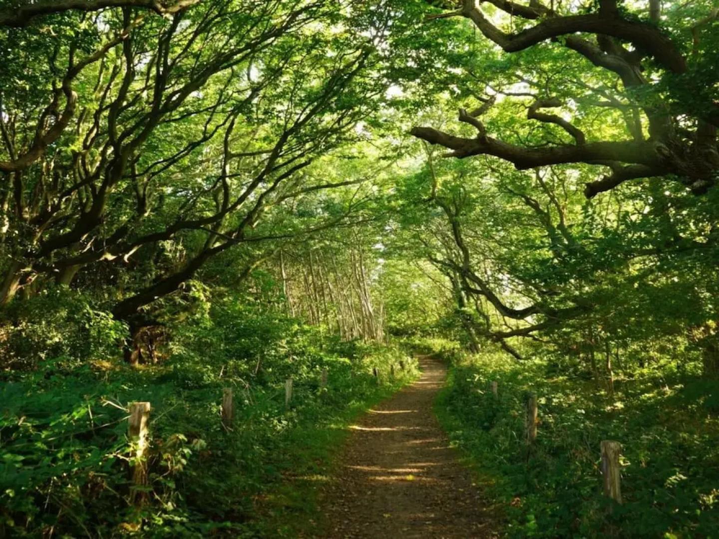 Holiday Apartment Domstag "kos"