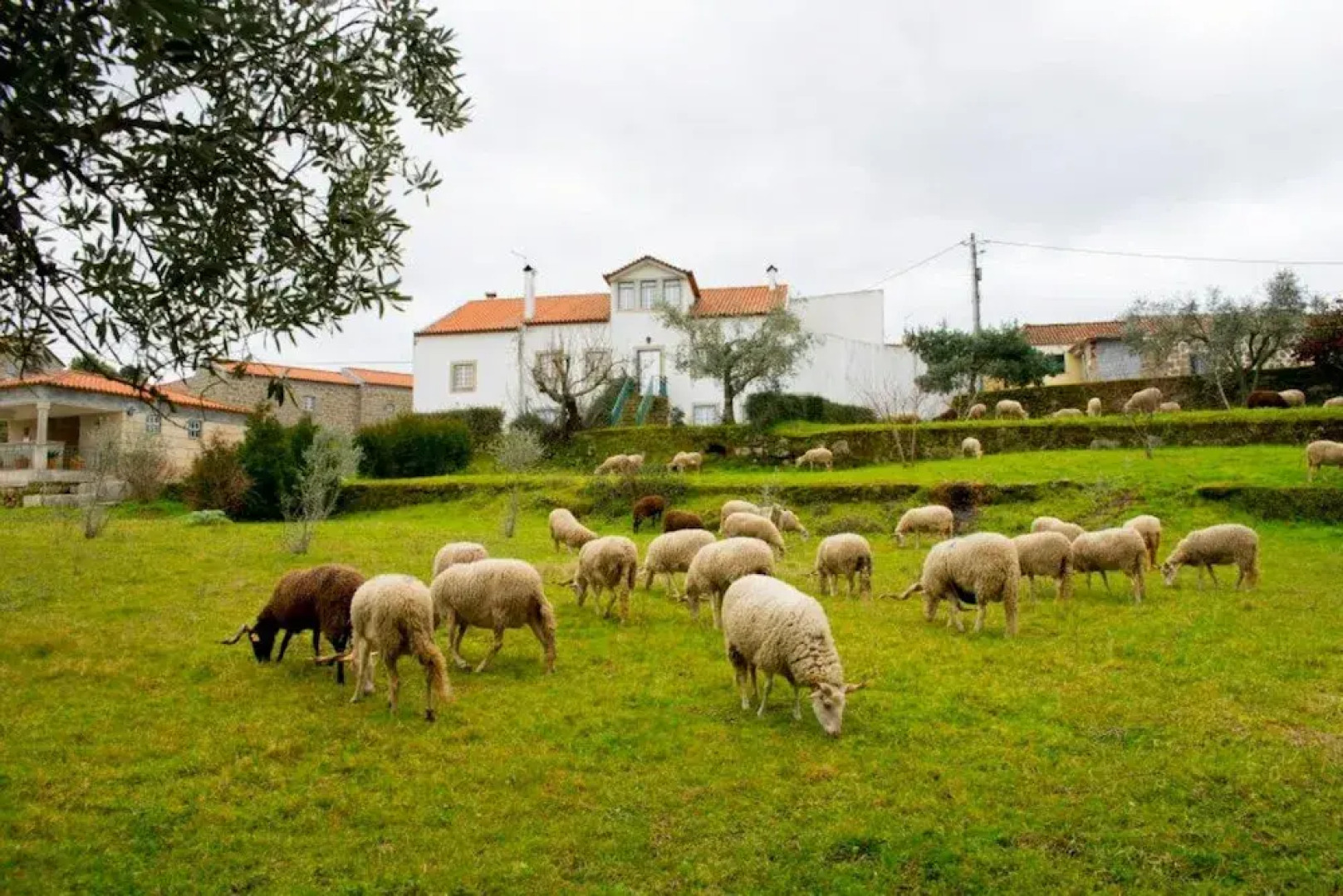 Rustic Terrace2 Bedrooms Farm House