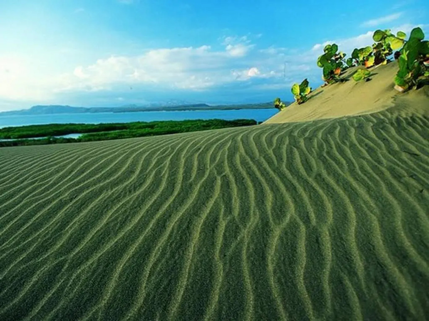 Villa Los Almendros - 2 Private Pools & Tennis & Pickle Ball