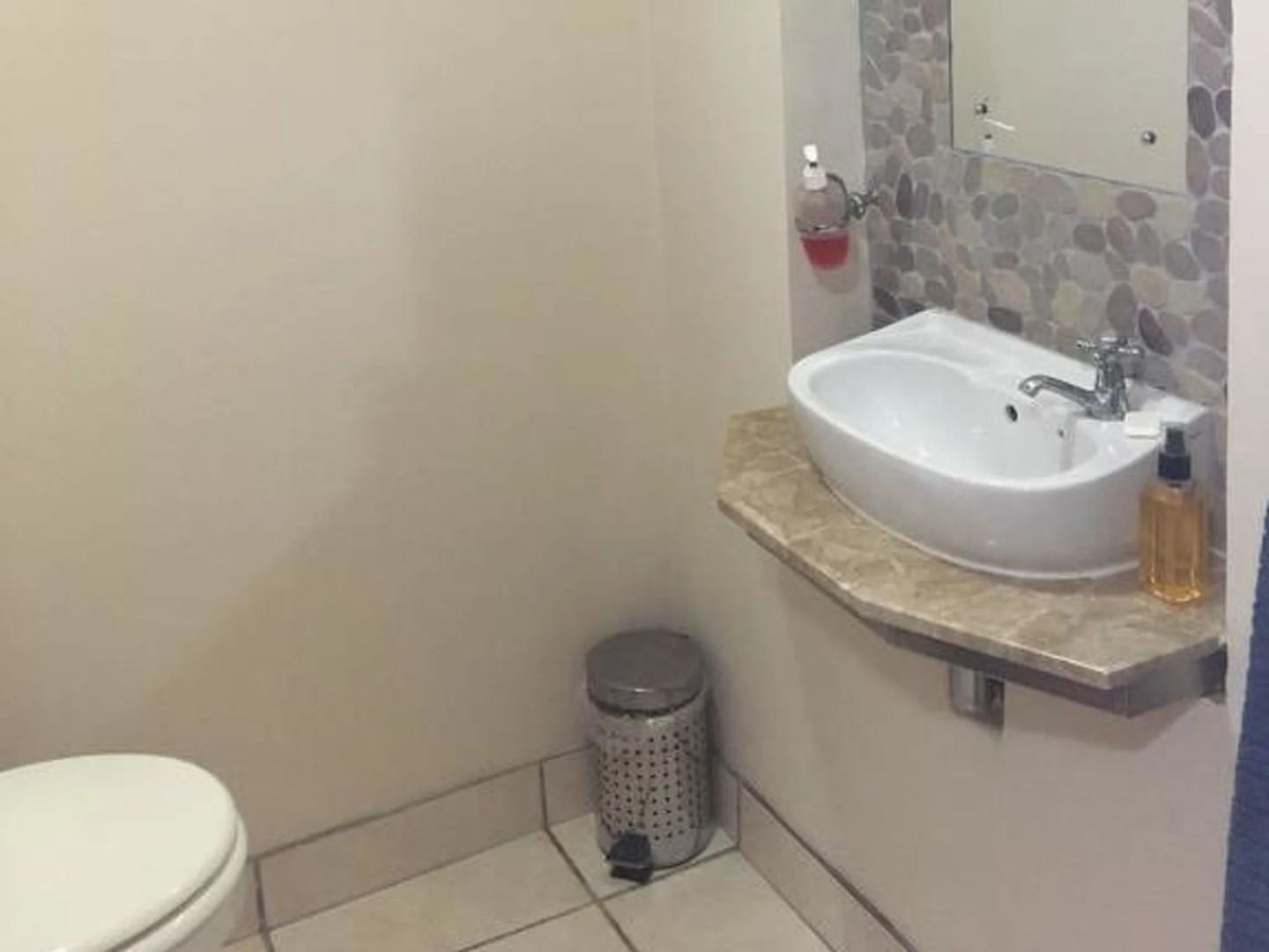 Royal Whale Watching