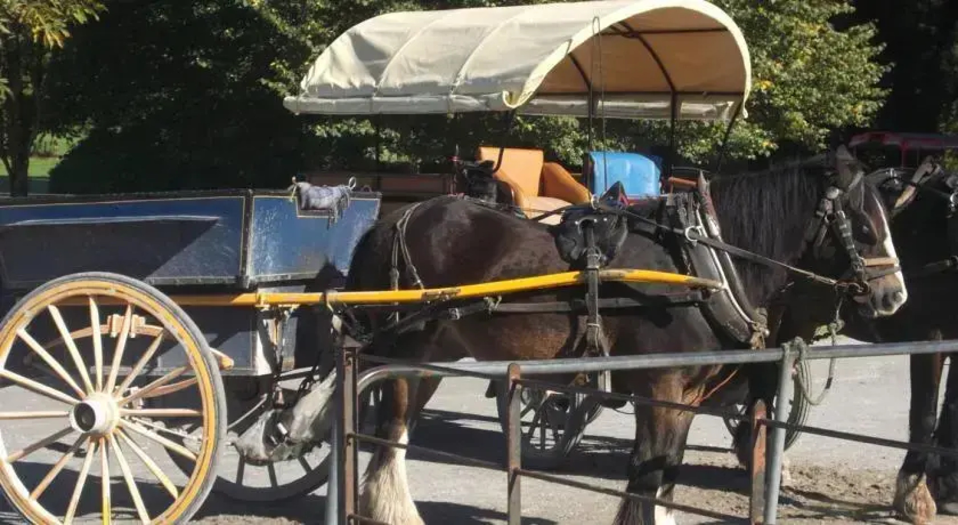 No 20 Killarney Holiday Village