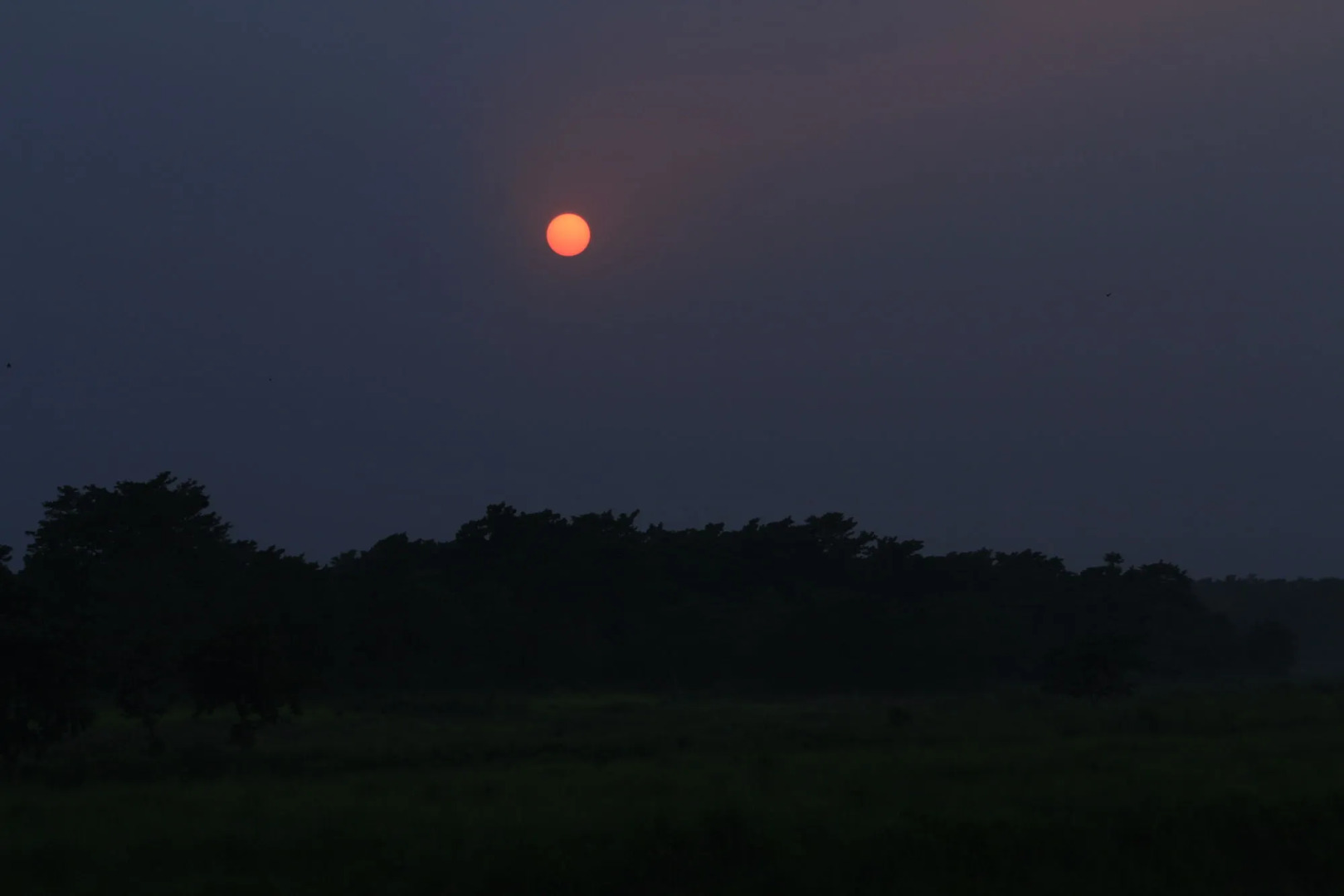 Chitwan Safari Camp & Lodge
