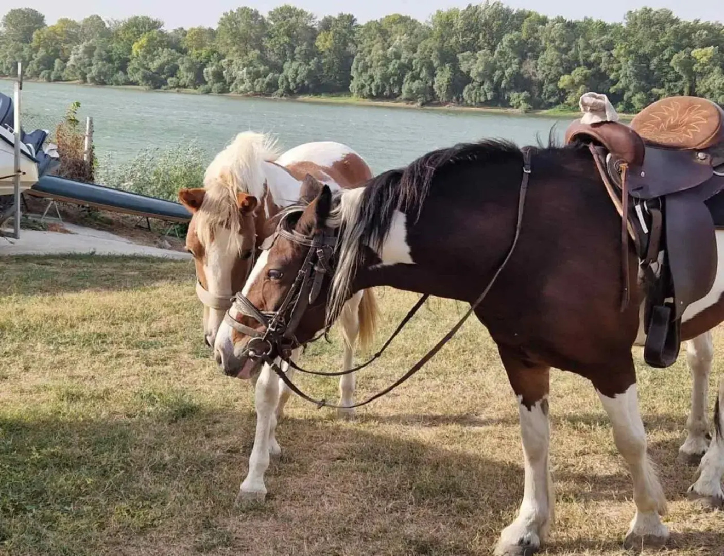 Pri Popa Guest House